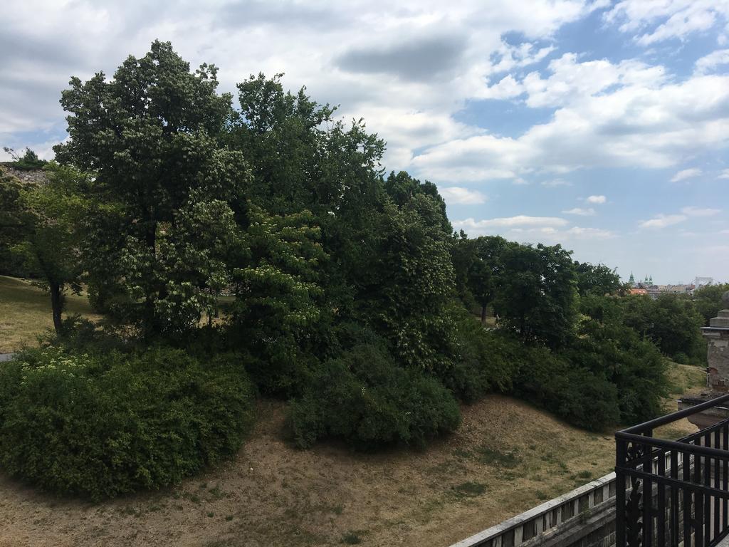 Castel View Apartment Budapest Exterior foto